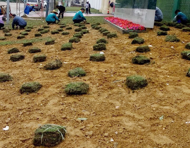 1558429365501226.jpg 201612221458393176.jpg