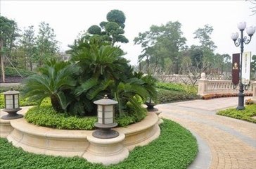 1558429628777683.jpg 201612221506395670.jpg